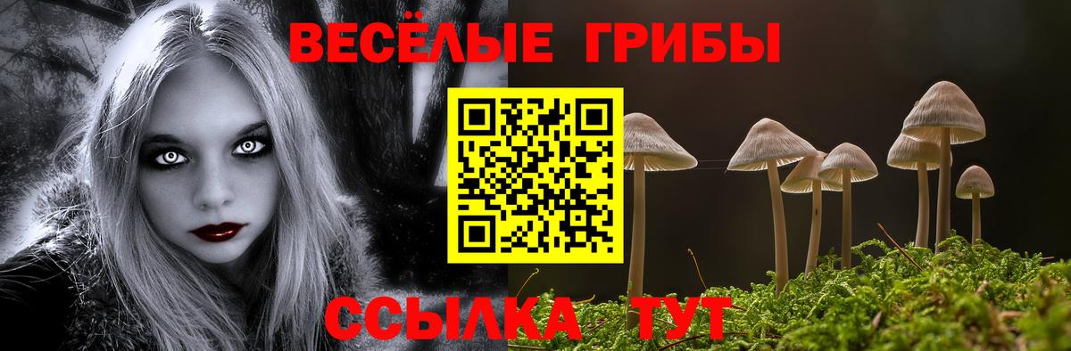 Галлюциногенные грибы прущие грибы  Вход с VPN  Саратов 